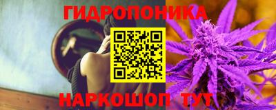 PSILOCYBIN Гусев