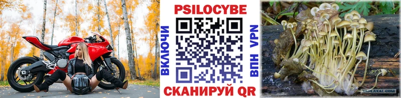 Псилоцибиновые грибы GOLDEN TEACHER  Бугульма 