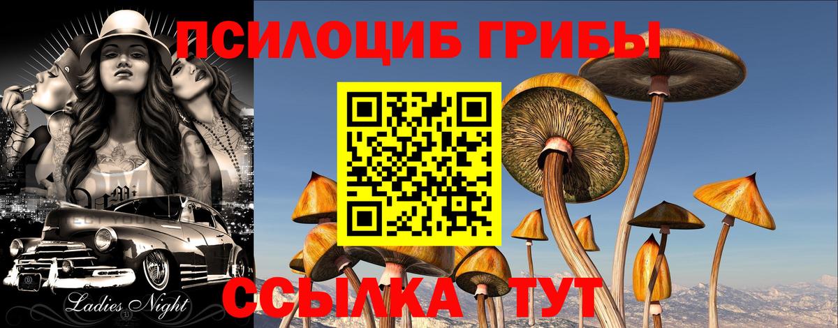 Псилоцибиновые грибы мухоморы  Бугульма  Галлюциногенные грибы Magic Shrooms 