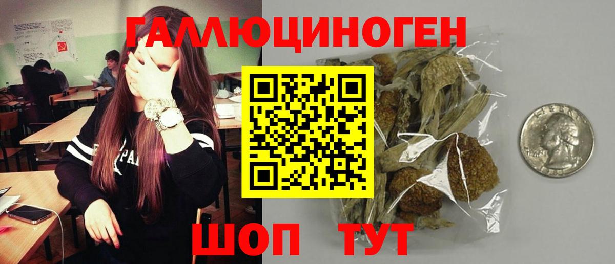 Бугульма  Псилоцибиновые грибы прущие грибы  Вход с VPN  Галлюциногенные грибы GOLDEN TEACHER 